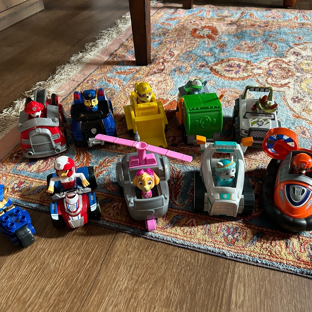 Paw Patrol Vehicles and Pups!